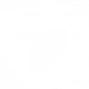 Twitter Social Media Link